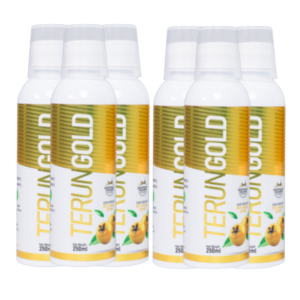 TERUNGOLD 3+3 BOTOL